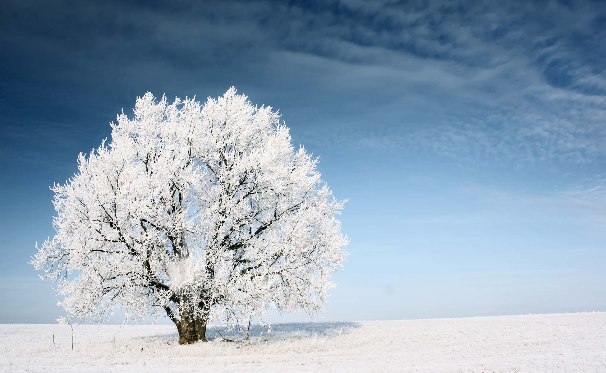 IMMOBILIEN Grissemann in Kufstein
